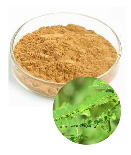 CAO DIỆP HẠ CHÂU (ĐẮNG) Phyllanthi dry extract