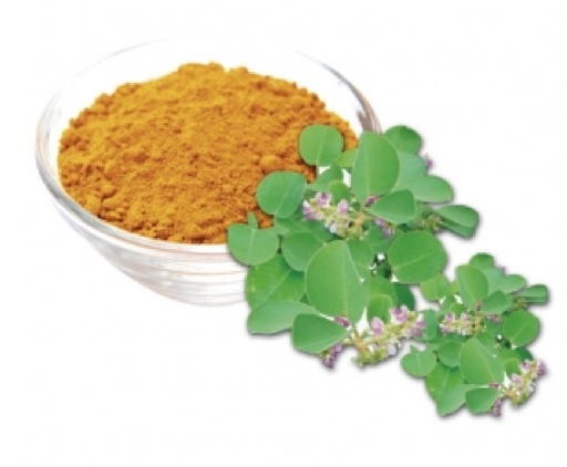 CAO KIM TIỀN THẢO (Desmodii dry extract)