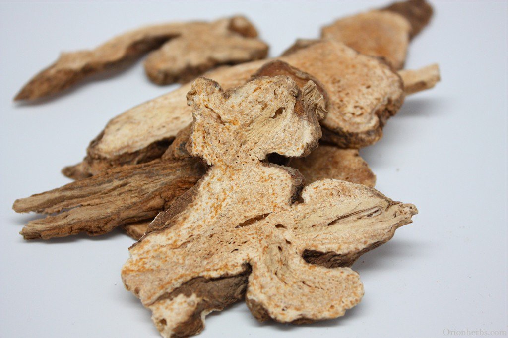 THƯƠNG TRUẬT