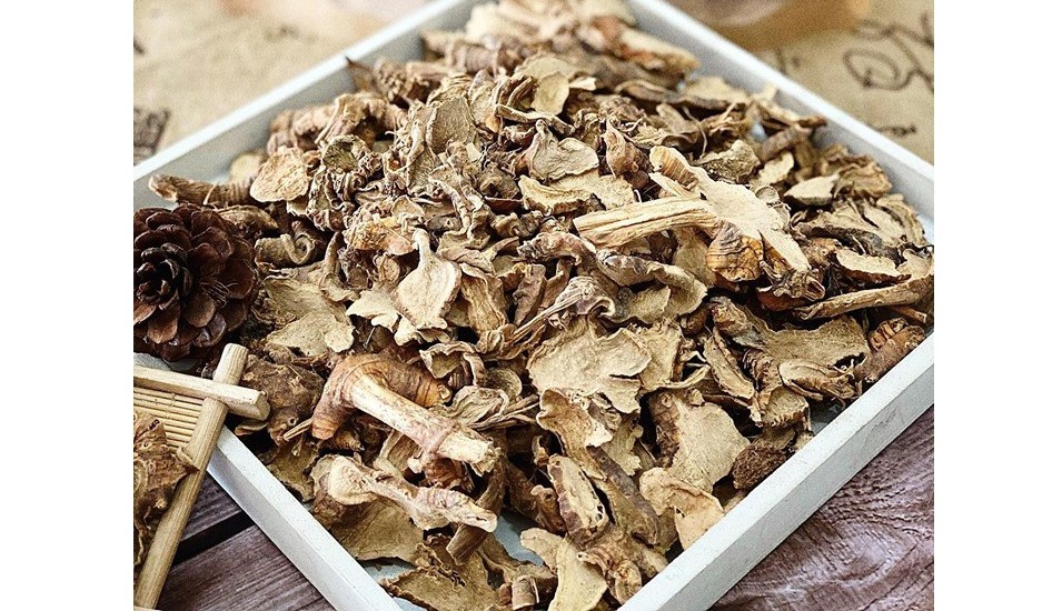 XẠ CAN