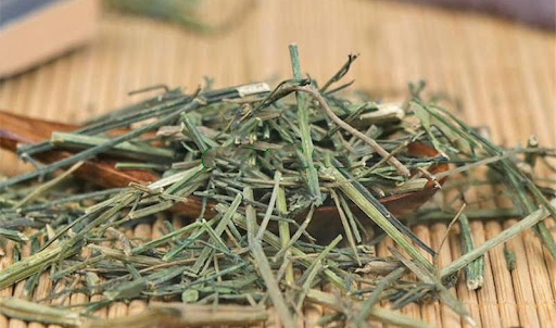 XUYÊN TÂM LIÊN
