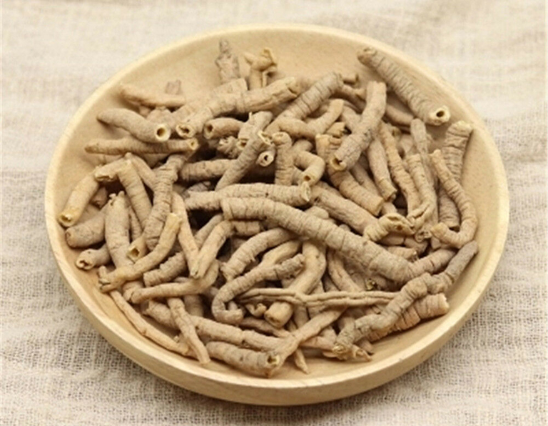 VIỄN CHÍ