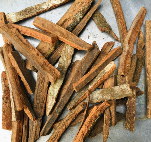 HẬU PHÁC