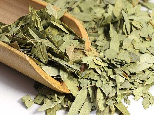 PHAN TẢ DIỆP