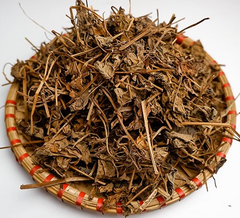DIẾP CÁ
