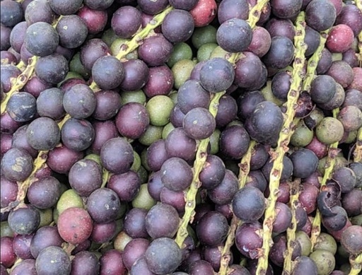 ĐỦNG ĐỈNH