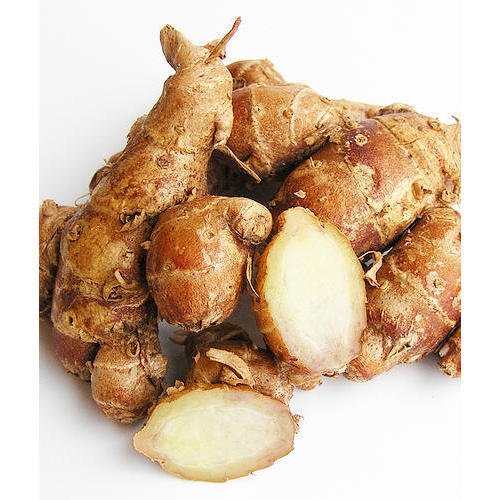 ĐỊA LIỀN TƯƠI