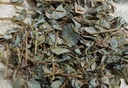 KIM TIỀN THẢO