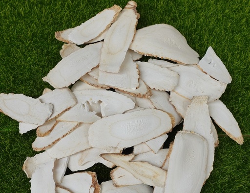 BẠCH CHỈ