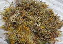 KIM NGÂN HOA