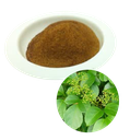 CAO CHÈ DÂY (Ampelopsis dry extract)