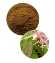 CAO DÂM DƯƠNG HOẮC (Epimedii dry extract)