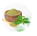 CAO XUYÊN TÂM LIÊN (Andrographii dry extract)