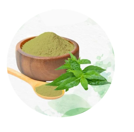 CAO XUYÊN TÂM LIÊN (Andrographii dry extract)