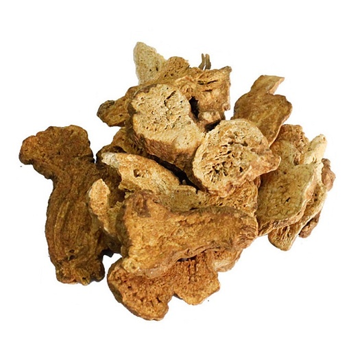 BẠCH TRUẬT