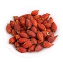 CHI TỬ