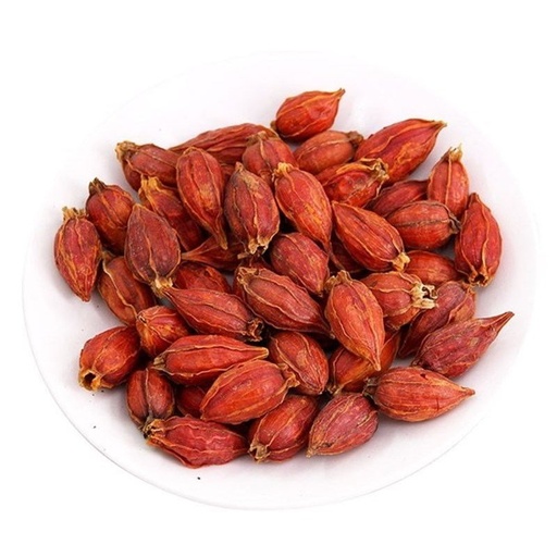 CHI TỬ