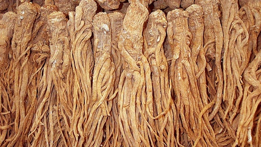 ĐƯƠNG QUY