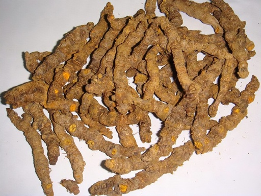 HOÀNG LIÊN