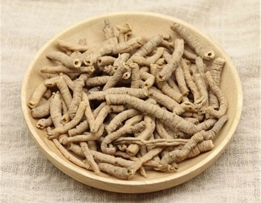 VIỄN CHÍ