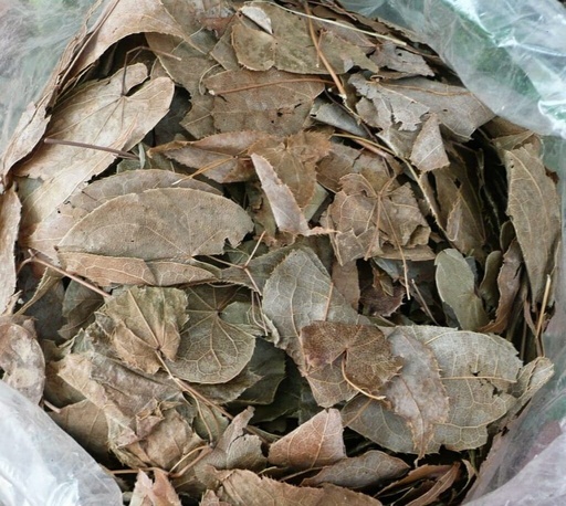 DÂM DƯƠNG HOẮC