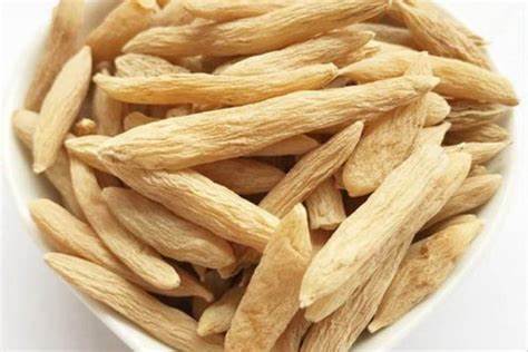 MẠCH MÔN